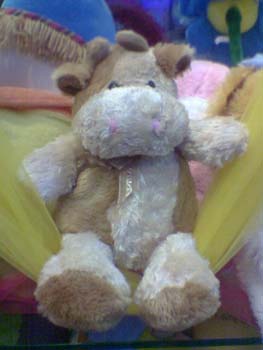 peluche 34